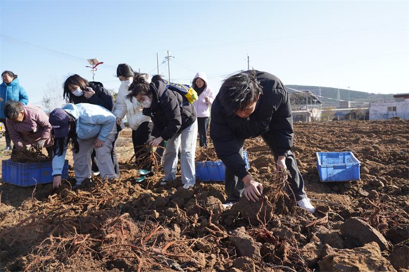 【医学技术系】网投官网医学技术系师生走进新密市米村镇中草药种植基地开展实践活动