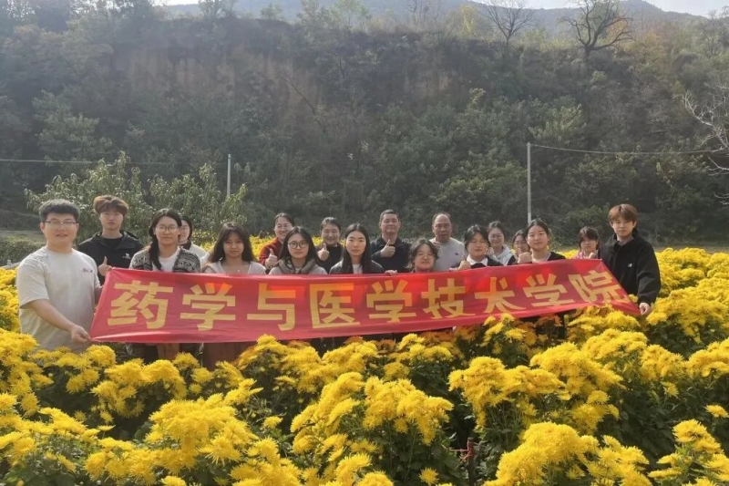 【药学与医学技术学院】网投官网药学与医学技术学院师生到新密中药材种植基地开展菊花采摘活动