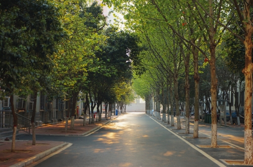 澳门十大网投正规官网平台2025年《职业适应性测试》考试大纲及样题